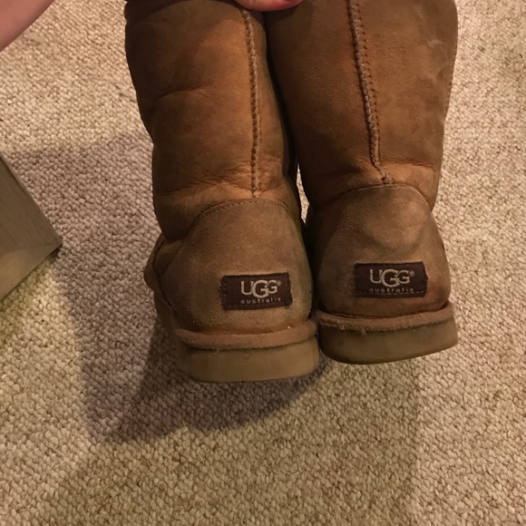 Short Chesnut UGGS
