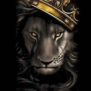 Meet your Posher, Docc