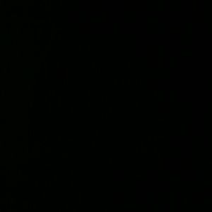 Meet your Posher, Tanesha