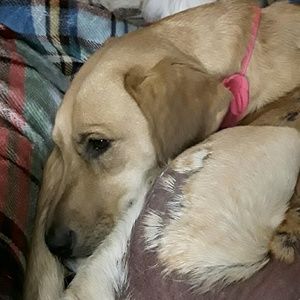 Meet your Posher, Helene