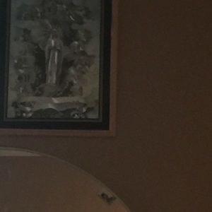 Meet your Posher, Abeba