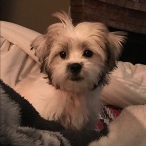 Meet your Posher, Claudia