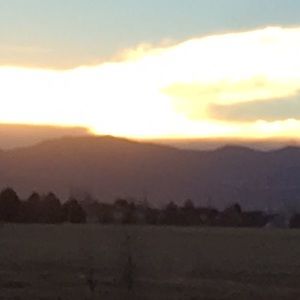 Meet your Posher, Cori