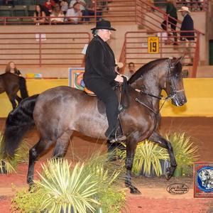 Meet your Posher, Vanessa