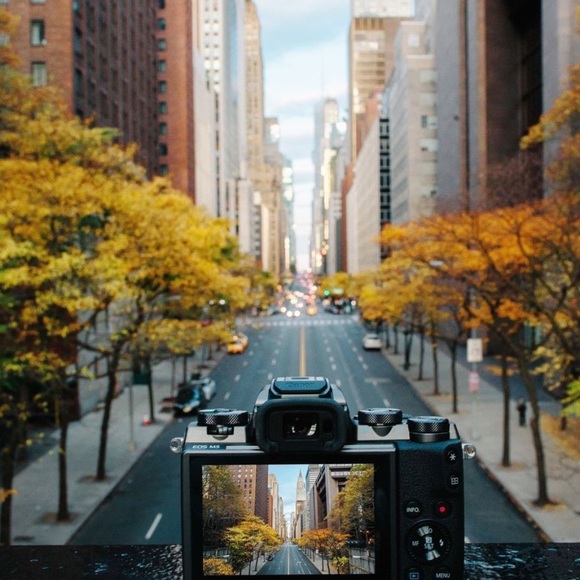 Meet your Posher, Maggie