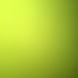 Meet your Posher, Zoe