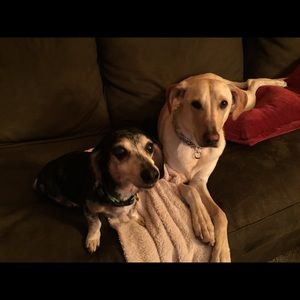 Meet your Posher, Kelly