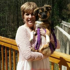 Meet your Posher, Susan