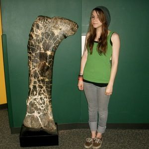 Meet your Posher, Autumn