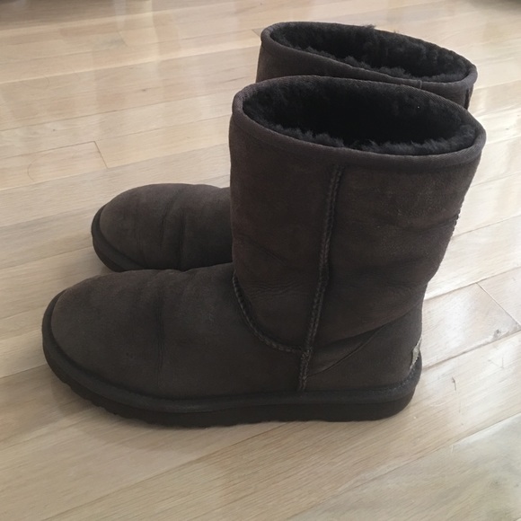 chocolate short uggs chocolate short uggs
