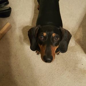 Meet your Posher, Denise