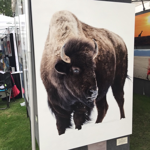 Meet your Posher, Colton - Picture 1 of 1