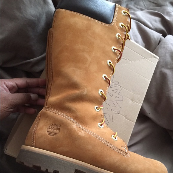 girl's tall Timberland