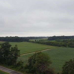 Meet your Posher, Patty