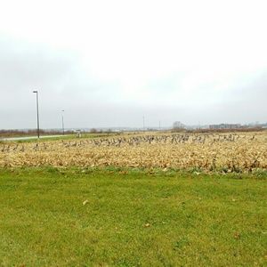 Meet your Posher, Ruby