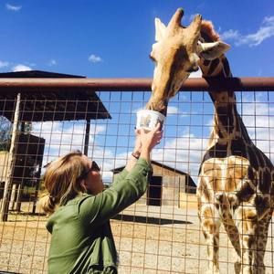 Meet your Posher, Taylor