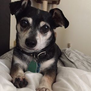 Meet your Posher, Crystal