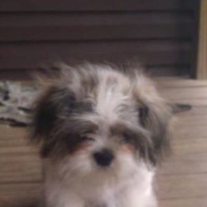 Meet your Posher, Connie