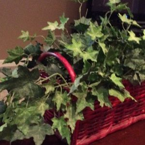 Meet your Posher, Linda