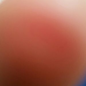 Meet your Posher, Tierra