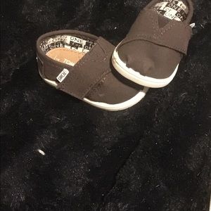 Toddler Tiny Toms