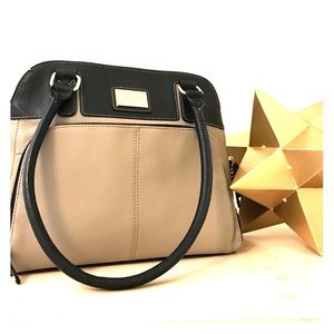 Tignanello beige  and brown Tignanello Handbag