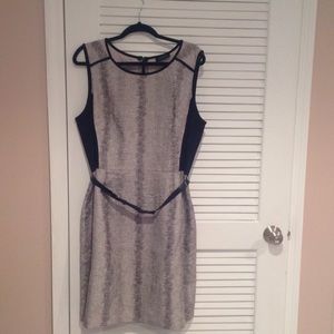 NWOT Tahari