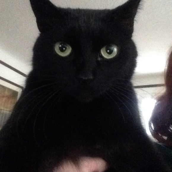 Meet your Posher, Jayne - Picture 1 of 1