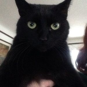 Meet your Posher, Jayne