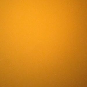 Meet your Posher, Lane