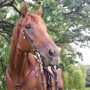 Meet your Posher, Valerie