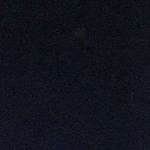 Meet your Posher, Willa