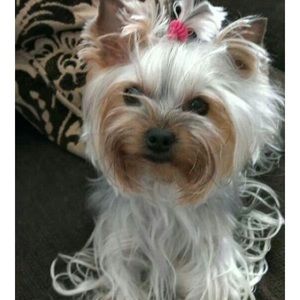 Meet your Posher, Deborah