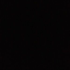 Meet your Posher, Hunter