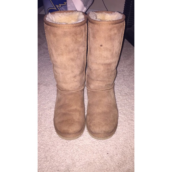 Size 6 Tall Chestnut Uggs