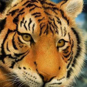 Meet your Posher, Omar