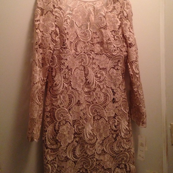 Adrianna papell dress