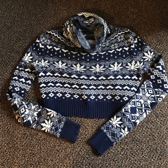 Urban outfitters BDG crop sweater