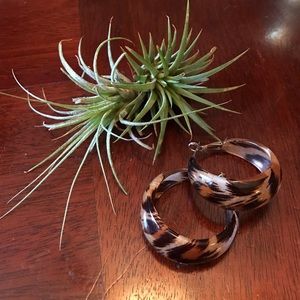 Leopard Print Earrings!!!