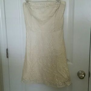 Cute short lace dress from holister