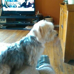 Meet your Posher, Debbie