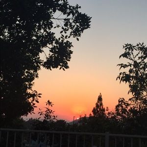 Meet your Posher, Sherry