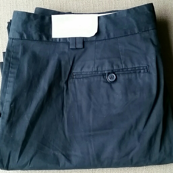 Ann Taylor Loft Trousers