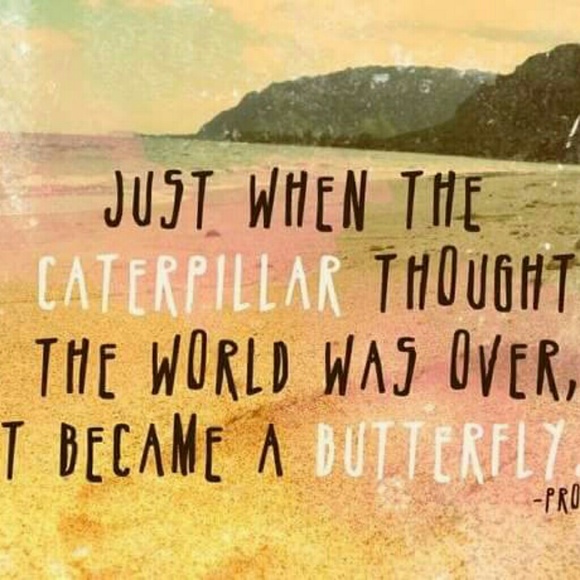 Offers always welcome - Picture 2 of 4