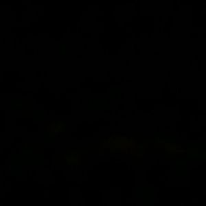 Meet your Posher, Francesca