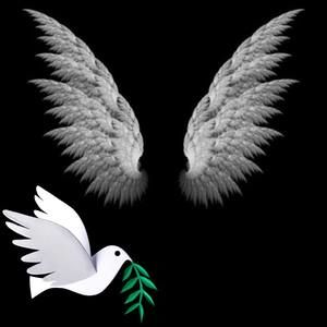 Meet your Posher, Carolie