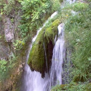 Meet your Posher, Trisha