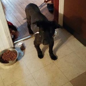 Meet your Posher, Lynn