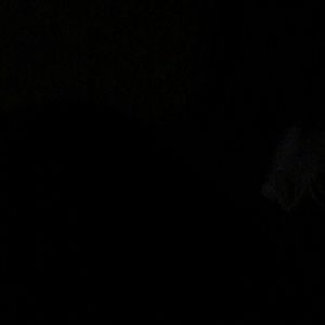 Meet your Posher, Tony