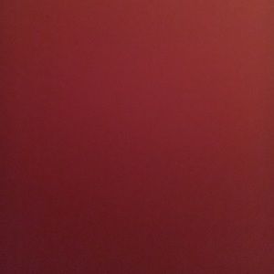 Meet your Posher, Wendy